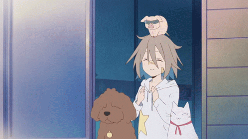 Do it yourself
anime awards